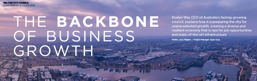 Aerial cityscape banner with the headline 'The Backbone of Business Growth' and a Roslyn Wai blurb on the right.